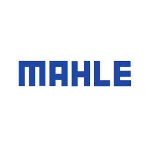 Mahle, Krotoszyn